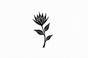 Simple Botanical Silhouettes, an Illustration by Gaye Art (Thumbnail 15 of 21)