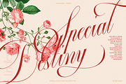 GEFUHATPIN — Elegant Calligraphy, a Script Font by Enxyclo Studio (Thumbnail 11 of 23)