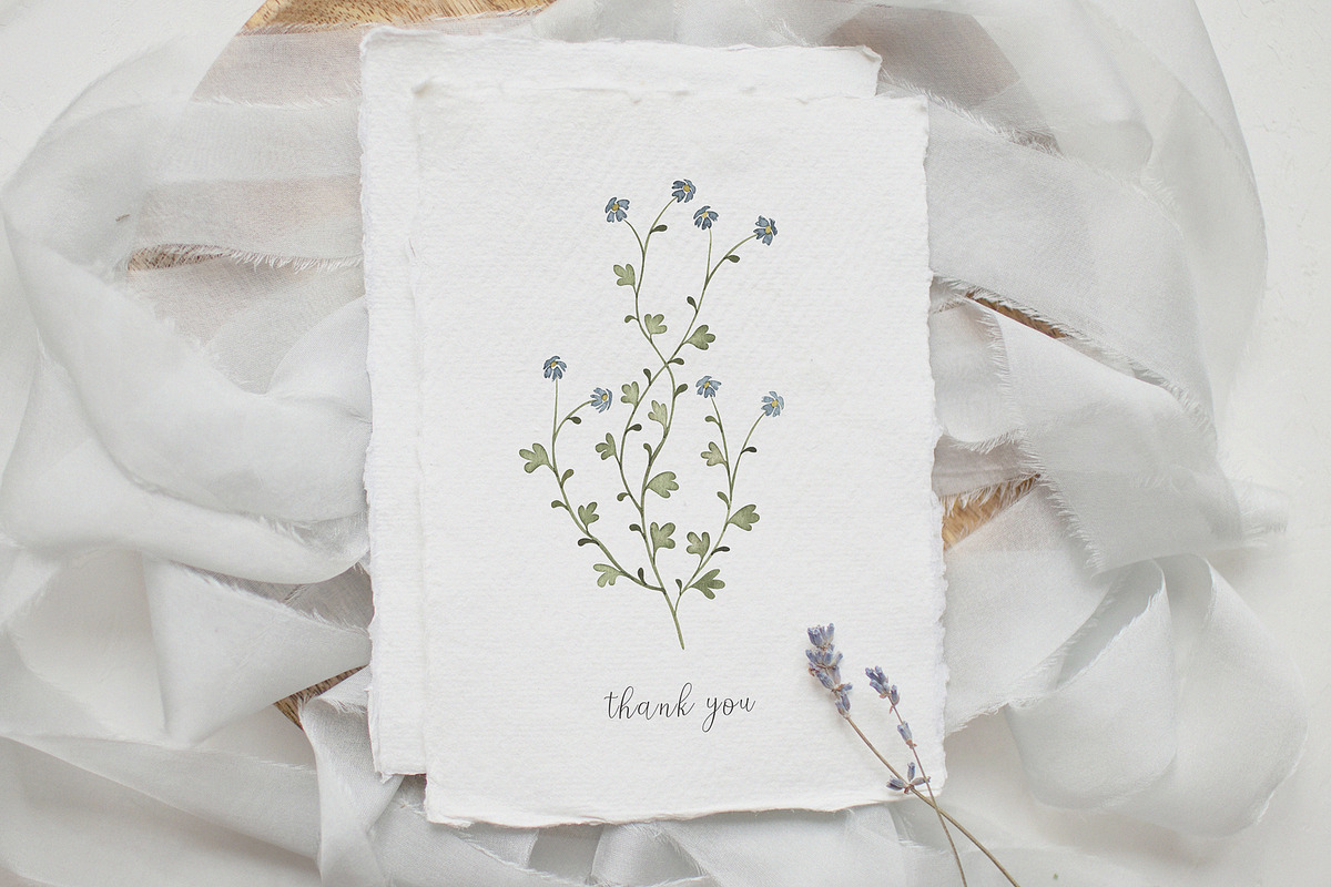 Wildflowers watercolor collection, an Illustration by viktoriiavk (Photo 11 of 11)