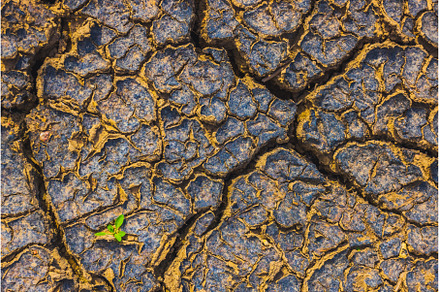 Cracked earth, metaphoric for, an Abstract Photo by Lukas Jonaitis SHOP