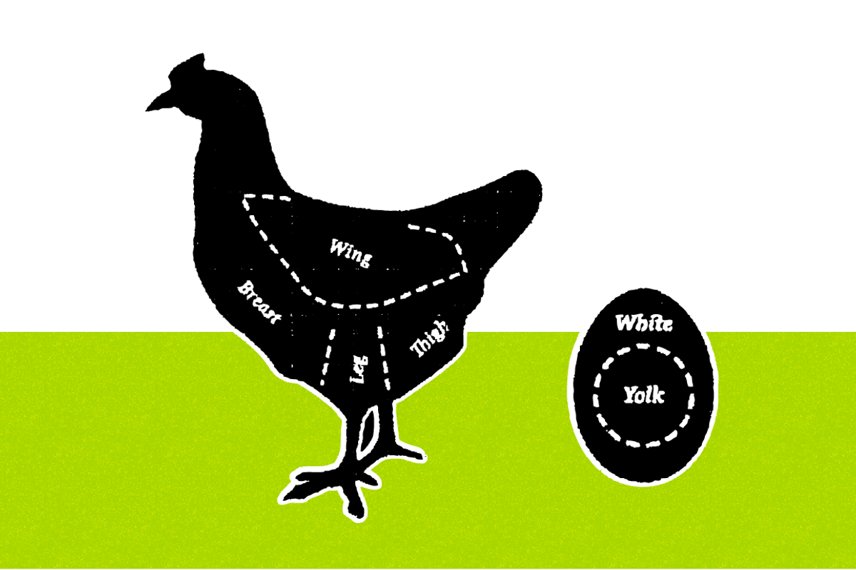 Farm Meat and Fish Cuts, a Food Illustration by Marmalade Moon (Photo 4 of 5)