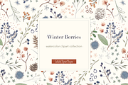 Winter Berries Clipart Collection, an Illustration by Tallulah Digital Designs (Thumbnail 1 of 4)
