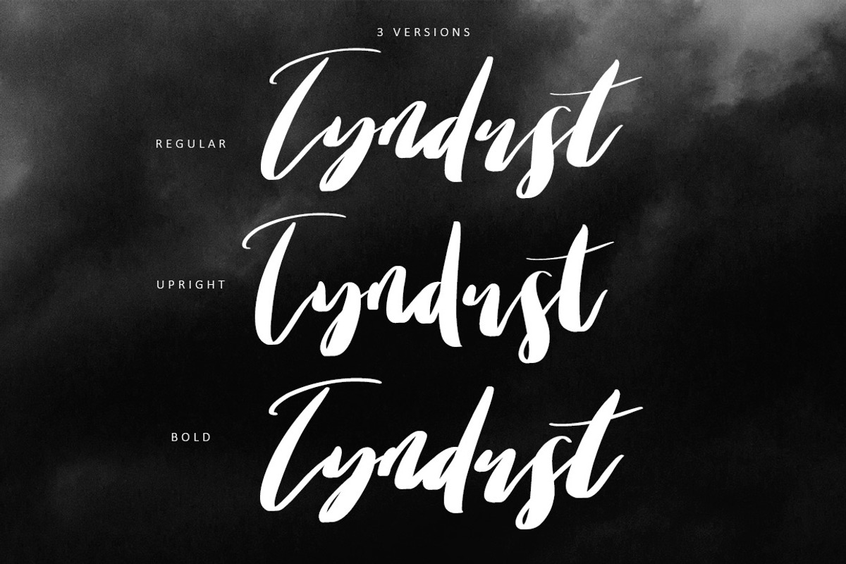 Tyndust Script Font preview 3