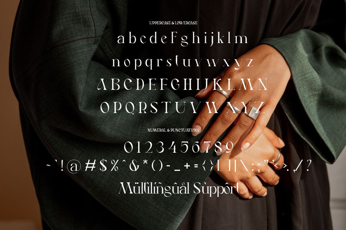 Veldman Serif Font, a Serif Font by JNJ Studio (Photo 9 of 10)