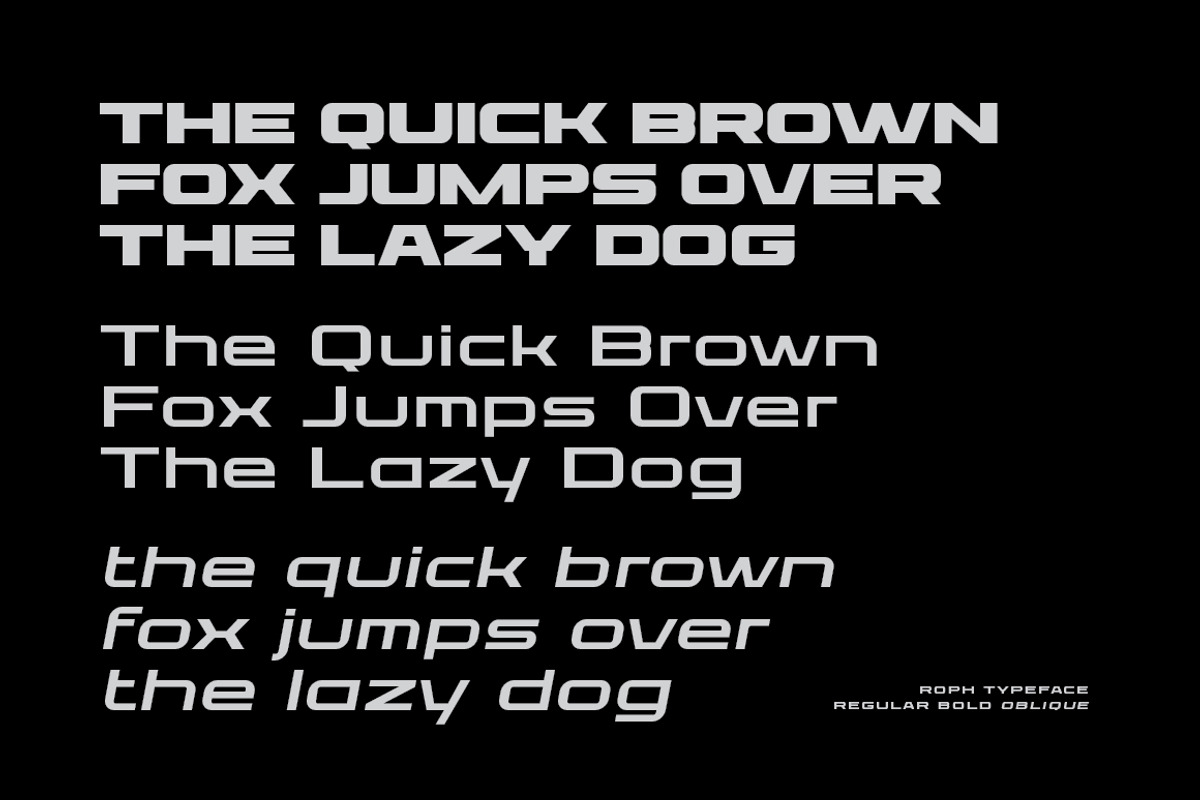 Roph – Modern Brand Identity Font, a Sans Serif Font by Typebae (Photo 6 of 8)