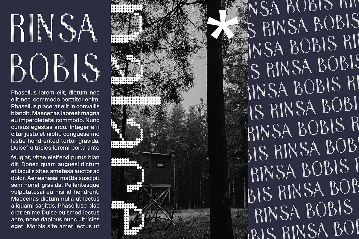 Ansela Disco, a Sans Serif Font by Craft Supply Co. (Photo 7 of 8)