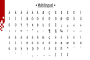 Fox Grilling Font Duo, a Slab Serif Font by Fox7 By Rattana (Thumbnail 7 of 10)