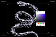 Skeletons & Bones, an Animal Illustration by Nomad Visuals (Thumbnail 6 of 15)