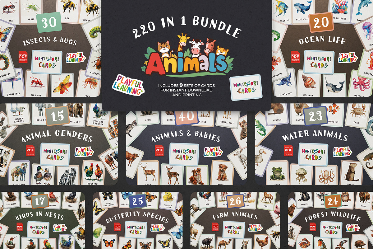 Animals Montessori Cards Bundle, an Education Illustration by Pix Cafe (Photo 1 of 12)