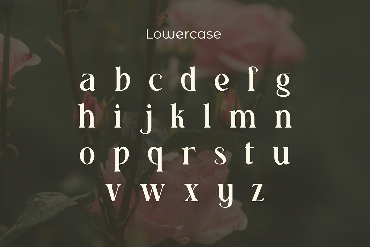 Realugi, a Serif Font by Rishsketch (Photo 9 of 13)