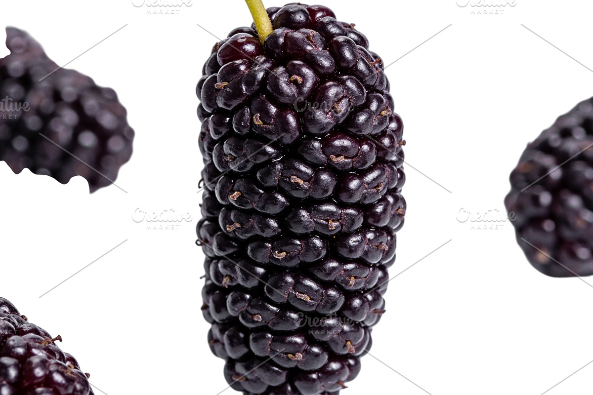 All Fruits Bundle Master Collection, a Food & Drink Photo by FlyeredTemplate (Photo 4 of 130)