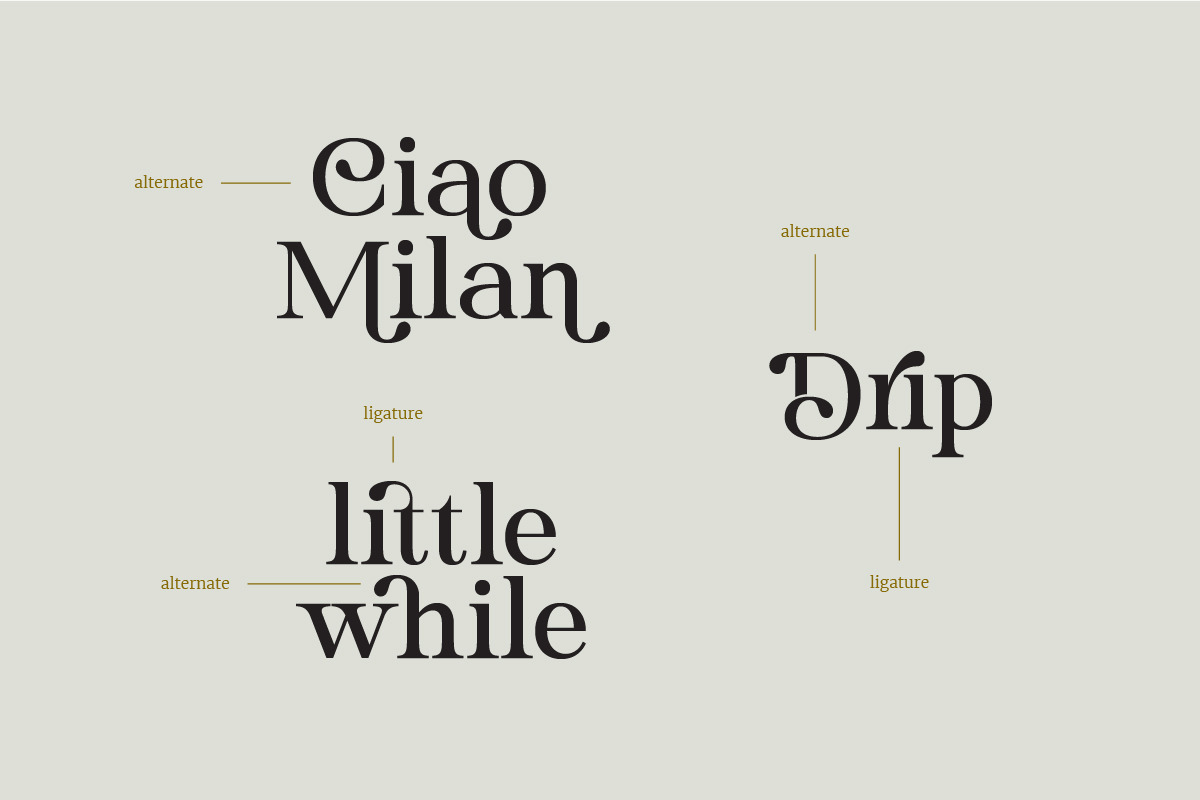 Heading South | Retro serif, a Serif Font by ClevUs (Photo 4 of 14)