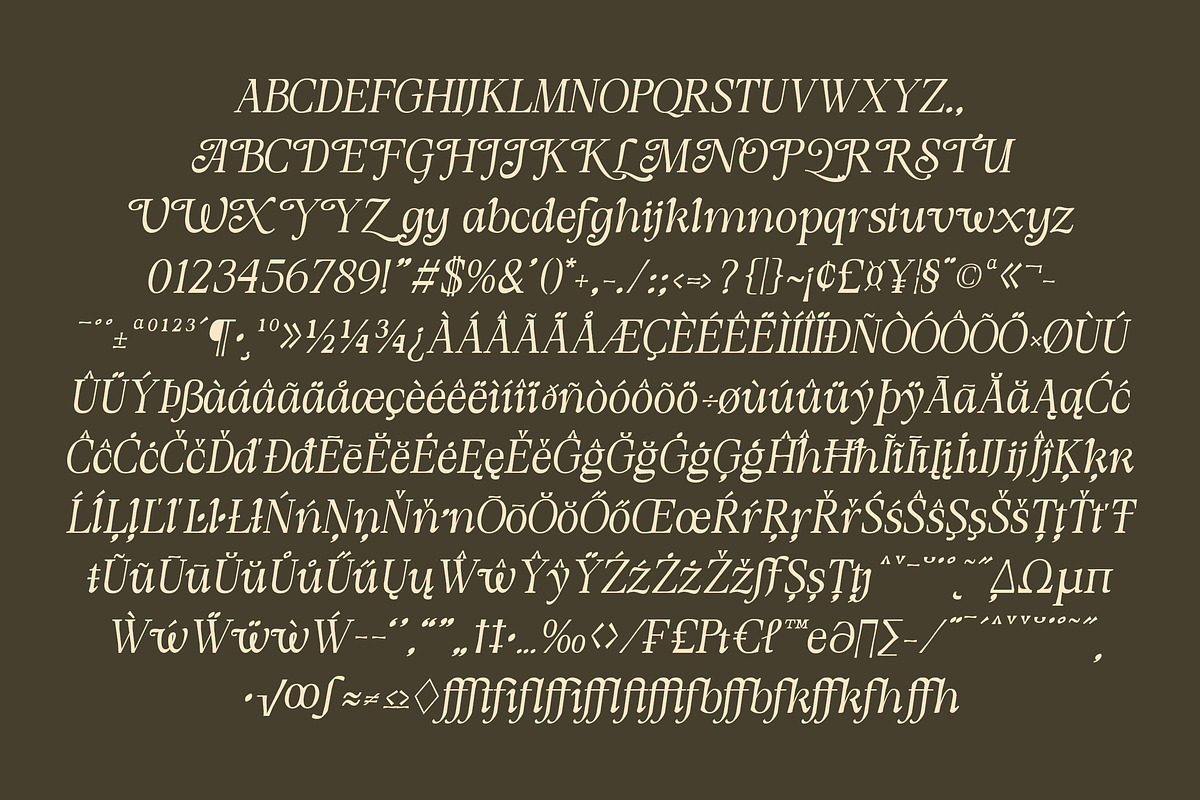 DT Morelish - Serif Display, a Serif Font by Dryy.type (Photo 11 of 12)