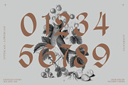 NCL Enigmatic Waesbendiy, a Blackletter Font by Enxyclo Studio (Thumbnail 16 of 18)