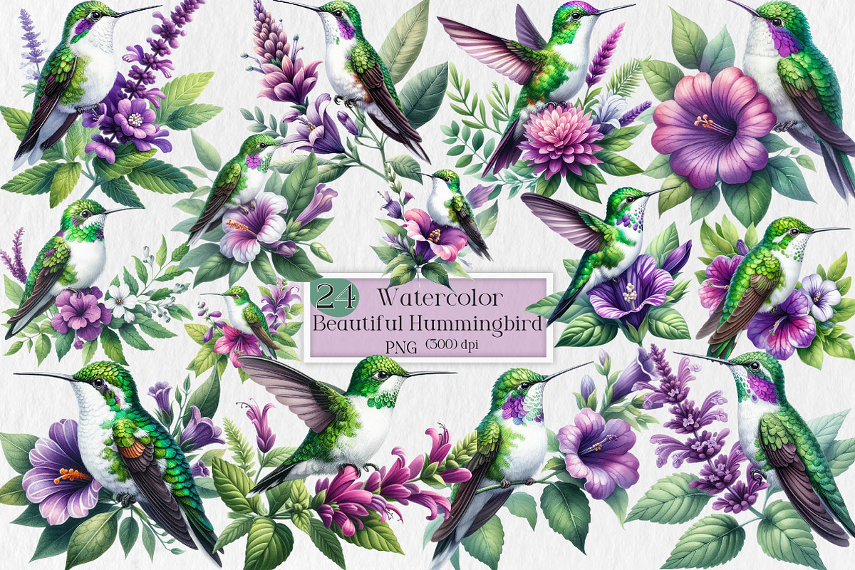 Beautiful Hummingbird Watercolor Png, an Illustration by Creative Art (Photo 1 of 6)