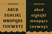 Borsnery, a Serif Font by Amera Type (Thumbnail 7 of 10)