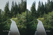Fuji FP 100C II, a Preset Add-On by colorituals (Thumbnail 3 of 8)
