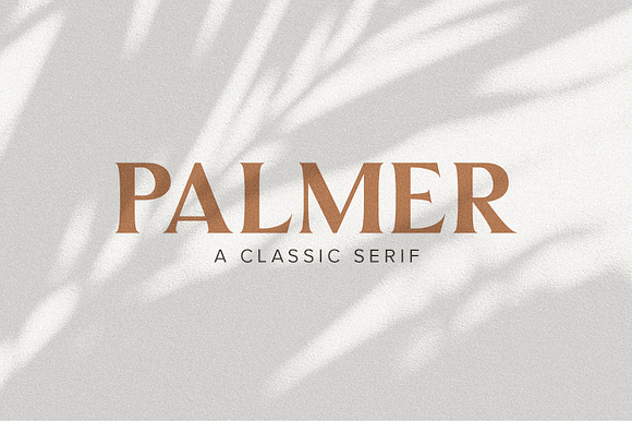 Palmer | A Classic Serif preview 8