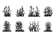 Corn Stalk Silhouette SVG Vector Set, a Finance Illustration by Gfx Expert Team (Thumbnail 2 of 3)