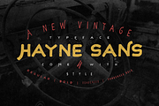 Hayne Clean & Rough - Brush Font, a Sans Serif Font by dexsarharryfonts (Thumbnail 5 of 7)