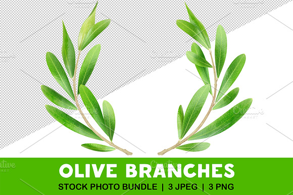 Olive Tree Wreath