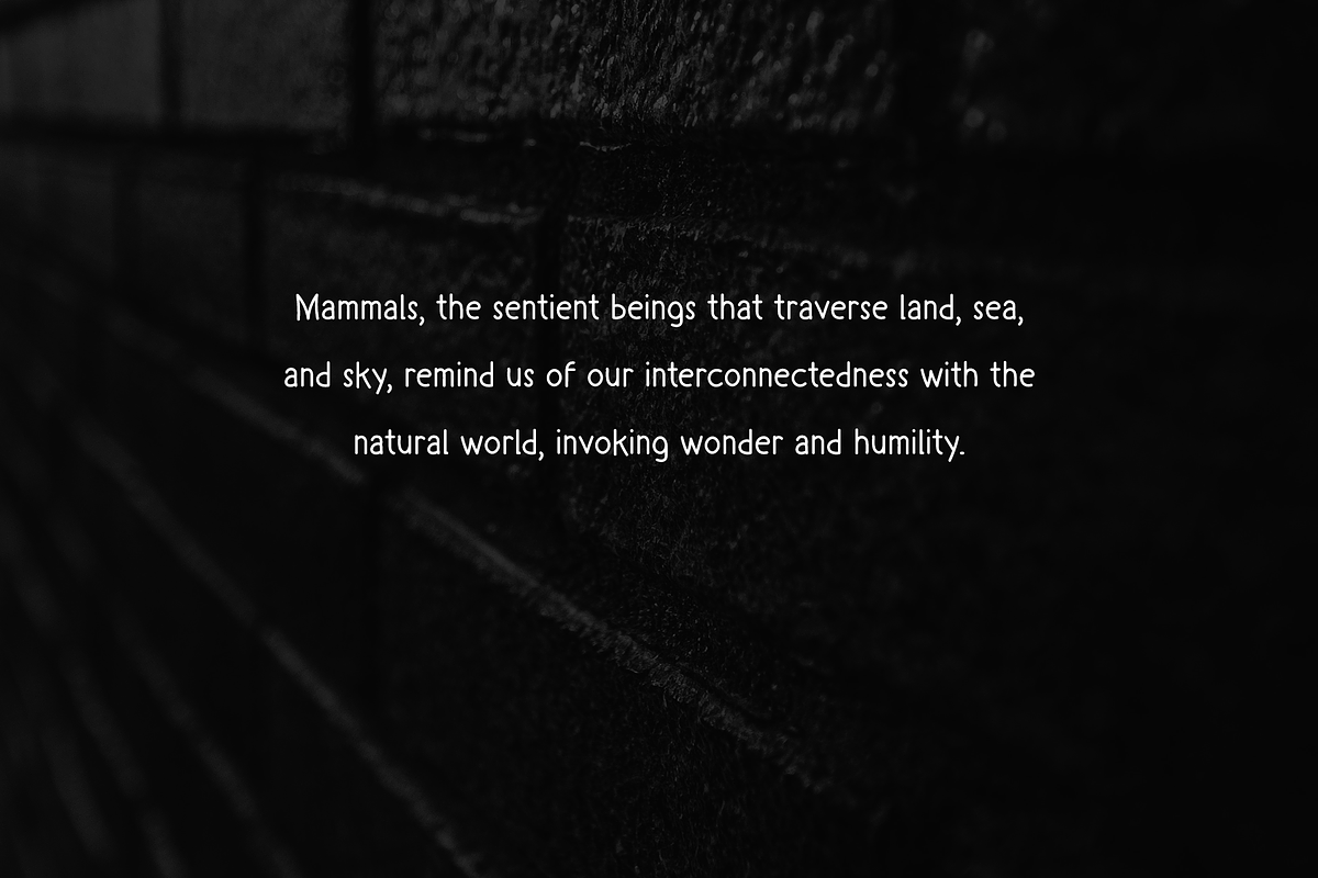 Mamallia - Handwriting font, a Handwritten Font by portype (Photo 4 of 6)