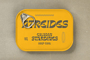 Barbra Display, a Font by nurrontype (Thumbnail 3 of 15)