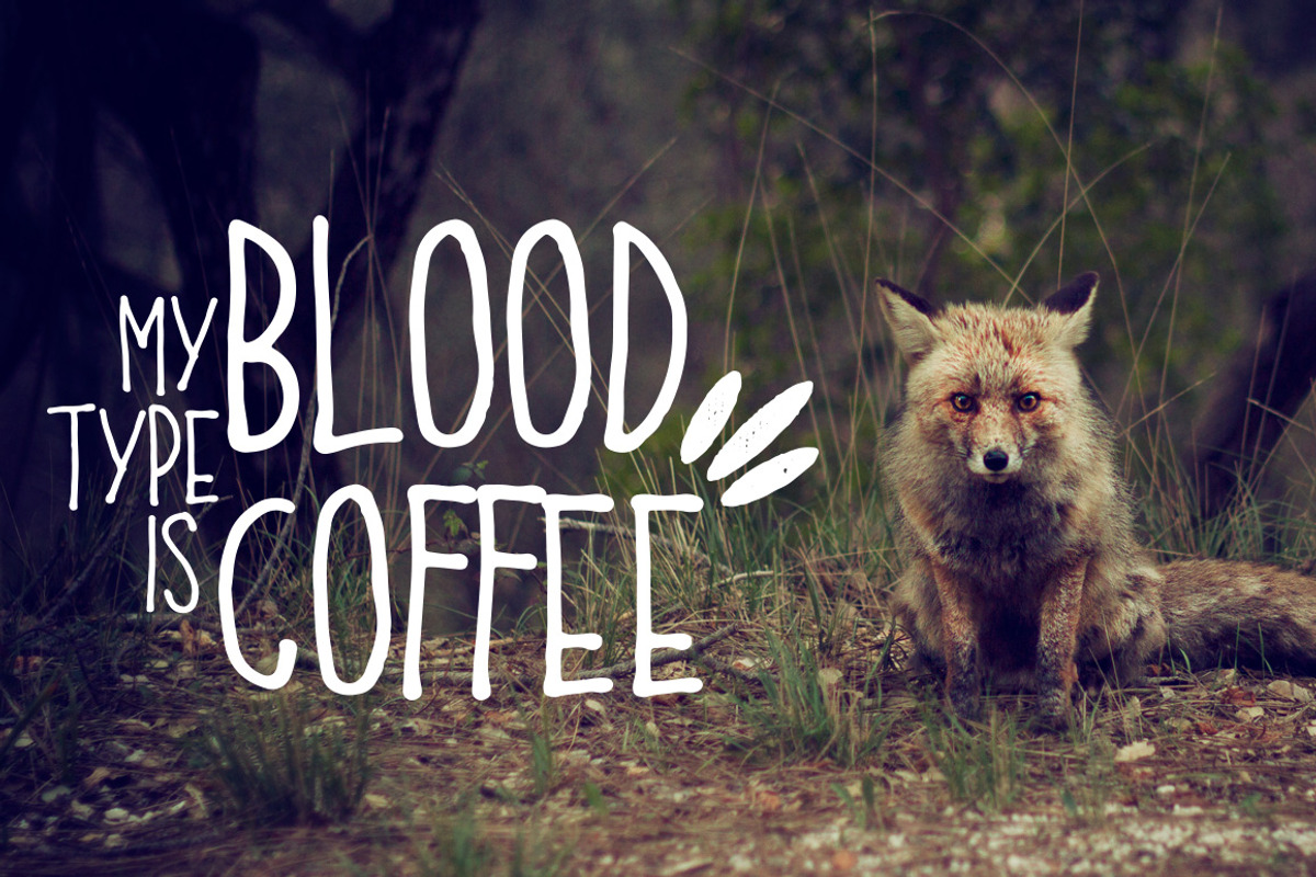 Coffee + Extras preview 2