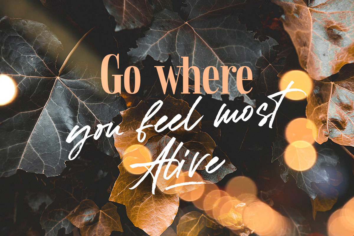 Formetor Script font! preview 8