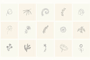 Hand Drawn Floral Elements. Frames, a Seasonal Illustration by Designwork (Thumbnail 10 of 22)