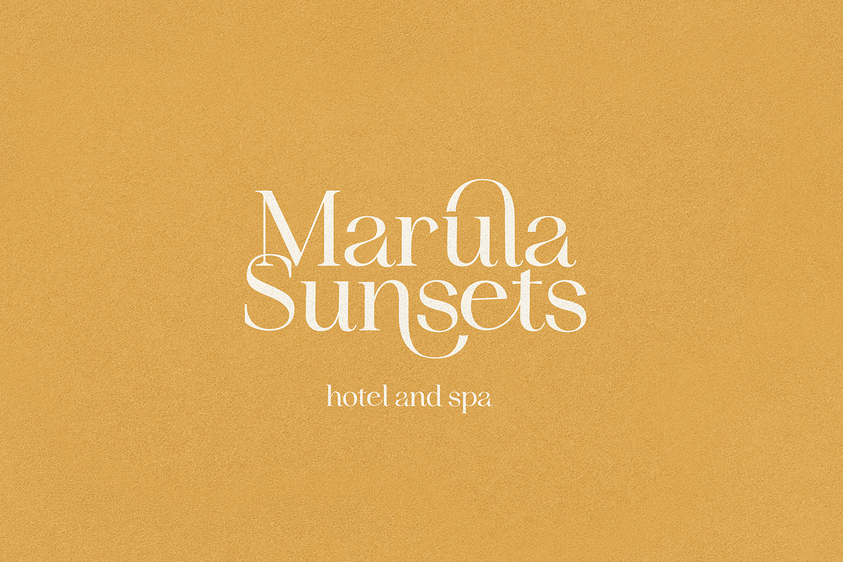 Idealist Serif, a Serif Font by Nicky Laatz (Photo 19 of 34)