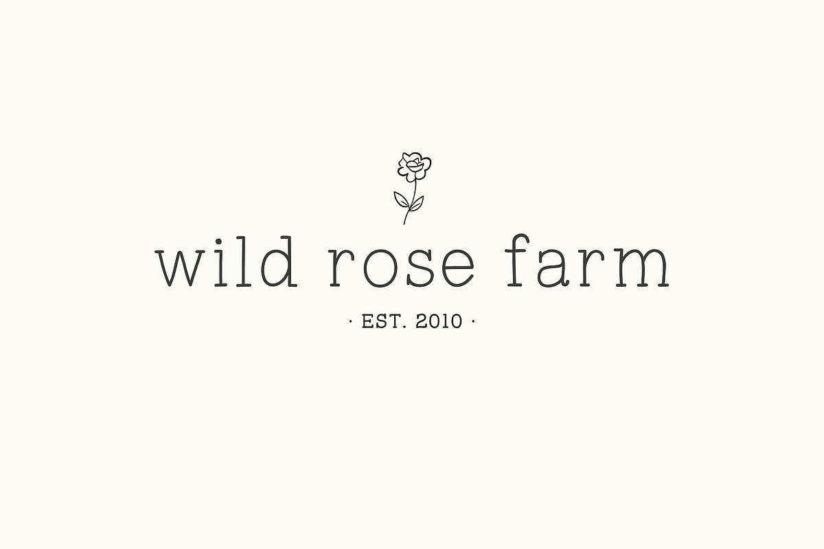 Tupelo Honey | A Charming Slab Serif preview 2