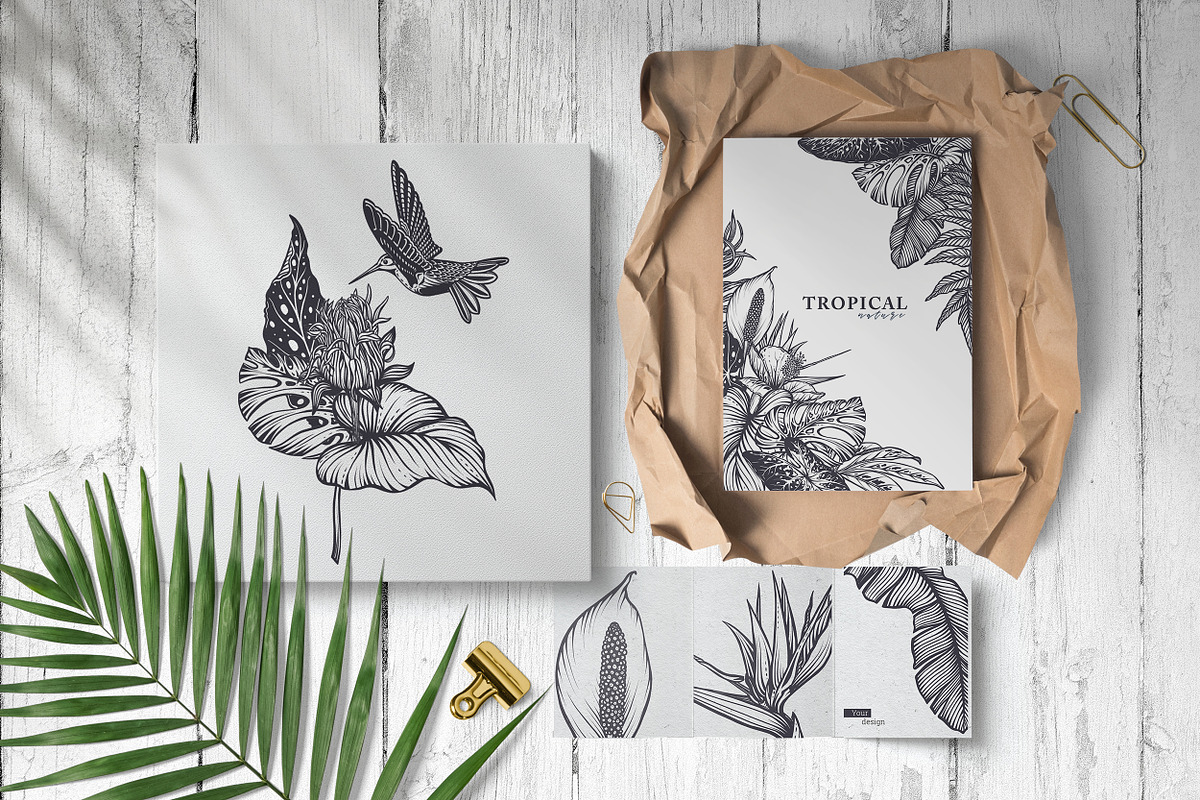 Tropical nature vector set, an Animal Illustration by Molly art (Photo 11 of 15)