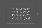 Rostedik – Modern Display Serif Font, a Serif Font by BrandSemut (Thumbnail 8 of 8)