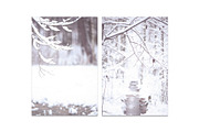 Winter Blurred background, a Nature Photo by WildStrawberry Magic (Thumbnail 6 of 9)