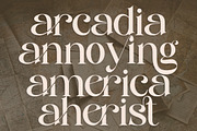 Monsieur Aegis - Modern Luxury Serif, a Serif Font by Qweera Studio (Thumbnail 8 of 12)