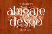 Abigate Desgo Stylish Serif Font, a Serif Font by Storytype Studio (Thumbnail 1 of 8)
