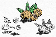 Nuts and snacks, a Food Illustration by Ann Astro (Thumbnail 20 of 24)