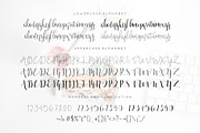 Moonlight Script, a Script Font by Anatadesign (Thumbnail 4 of 10)