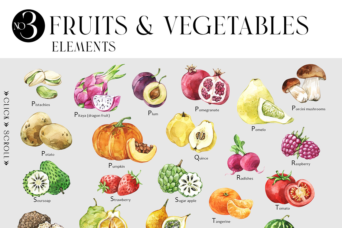Fruits and Vegetables Encyclopedia, a Food Illustration by Anastezia Luneva (Photo 6 of 9)