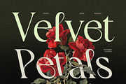 CS Blessing – Art Nouveau Font, a Serif Font by Craft Supply Co. (Thumbnail 6 of 8)