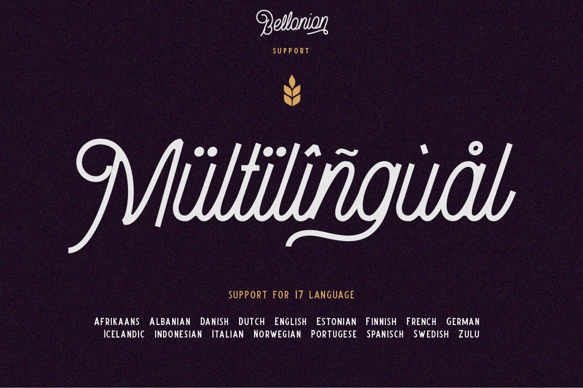 Bellonion Script ( font duo ) preview 8