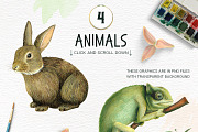 Cacti and Animals - Design Kit, an Animal Illustration by Lisa's Balcony (Thumbnail 2 of 8)