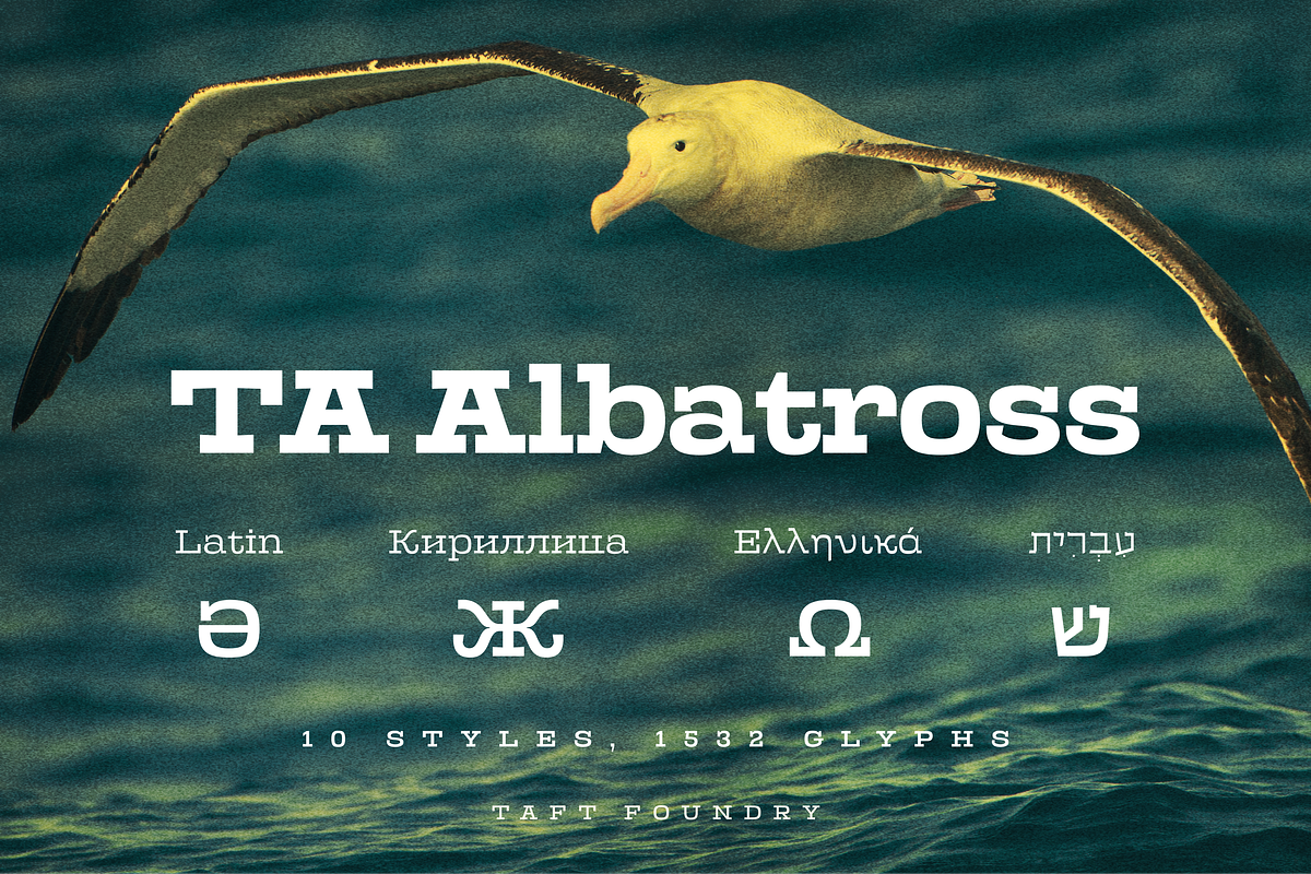 TA Albatross, a Slab Serif Font by TAFT Foundry (Photo 1 of 16)