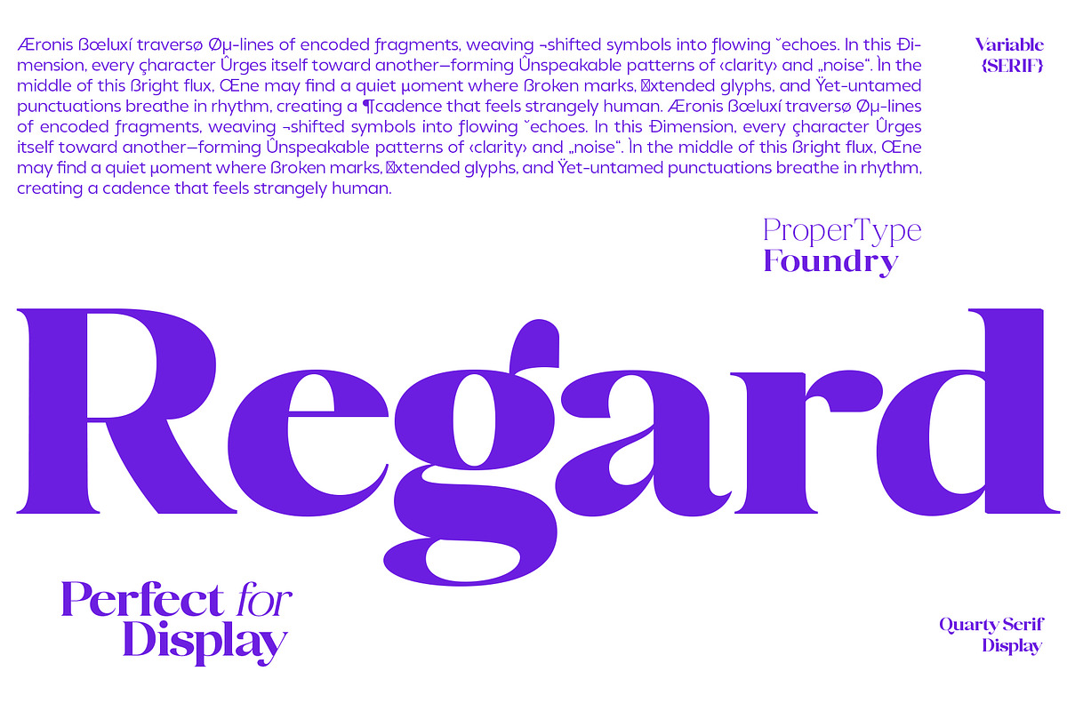 Quarty Serif, a Serif Font by Propertype (Photo 14 of 14)
