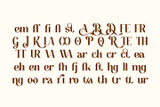 Bedjana - Cafe Serif Font, a Serif Font by Pikgura (Thumbnail 4 of 10)