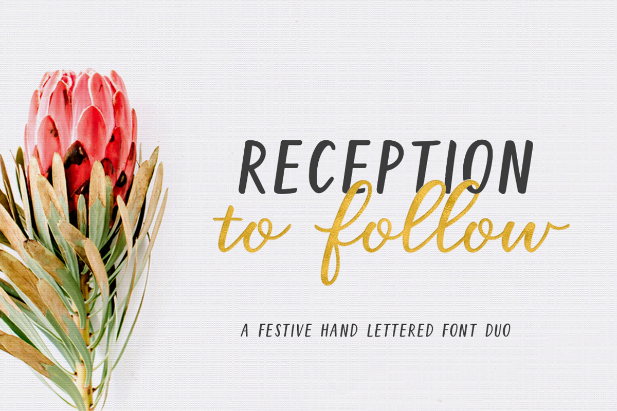 Reception to Follow