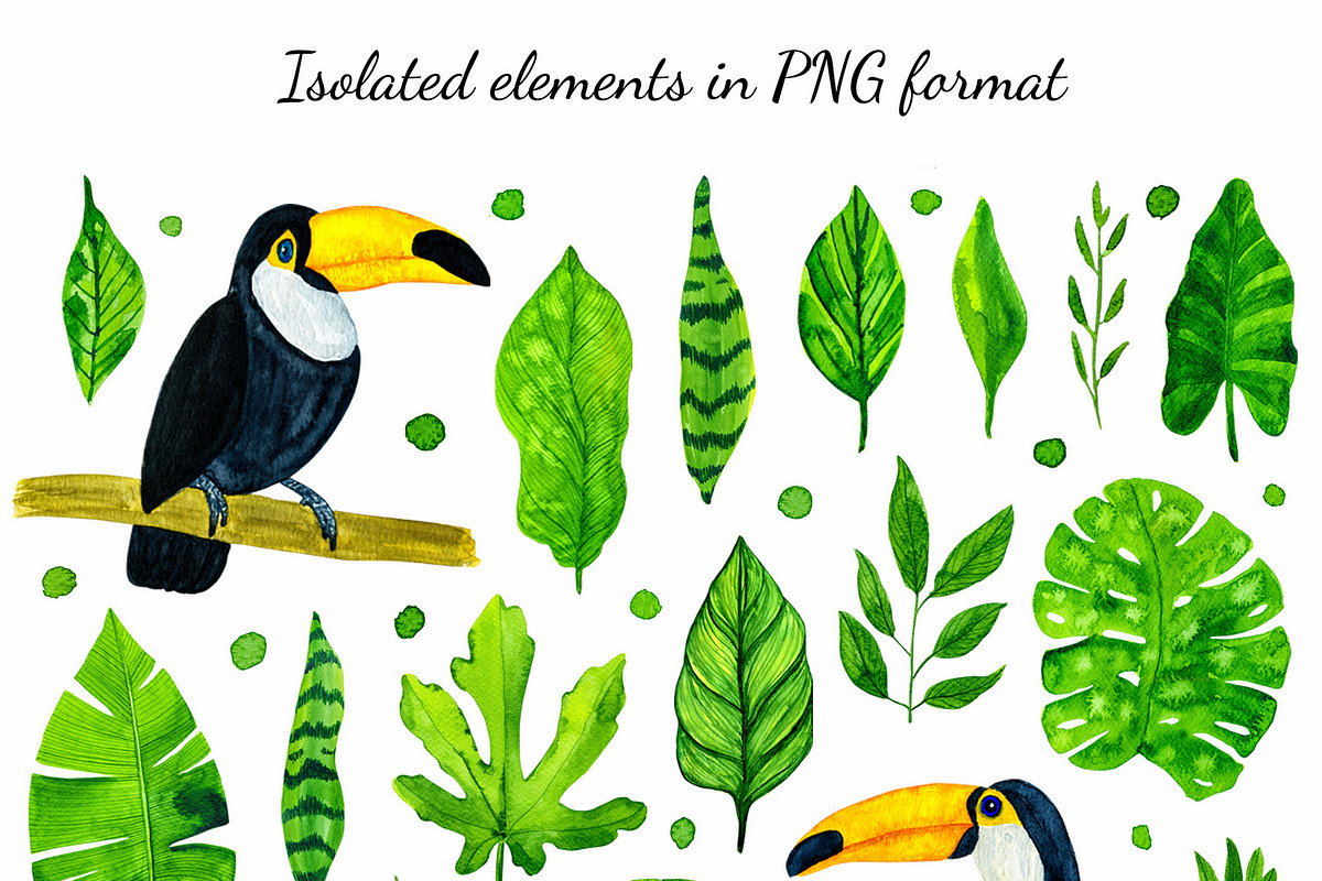 Watercolor tropical leaves, a Background Graphic by MarBom (Photo 2 of 6)