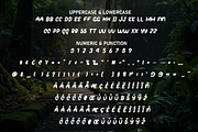 Thick Jungle | Script Font, a Script Font by Scratchones (Thumbnail 7 of 8)