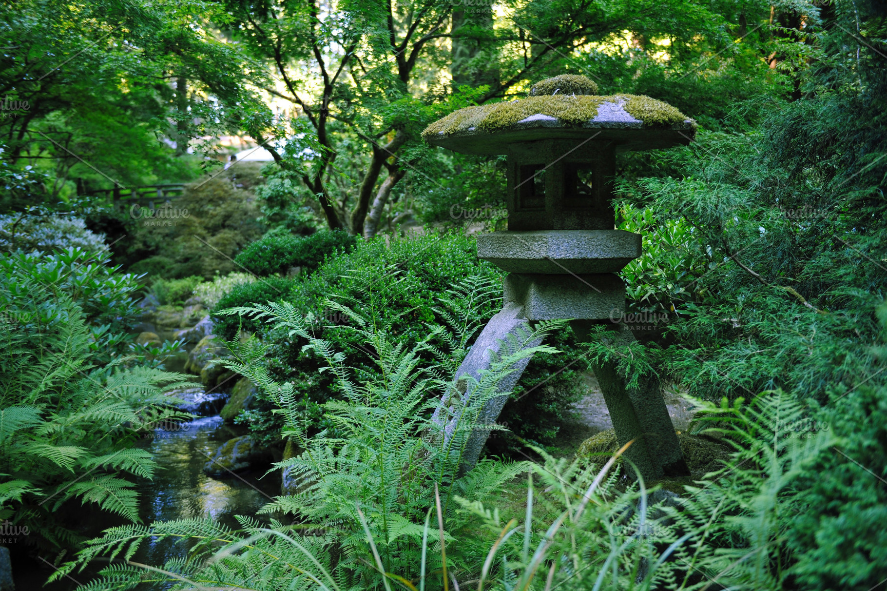 Peaceful zen garden, a Nature Photo by Serifs & Whiskey